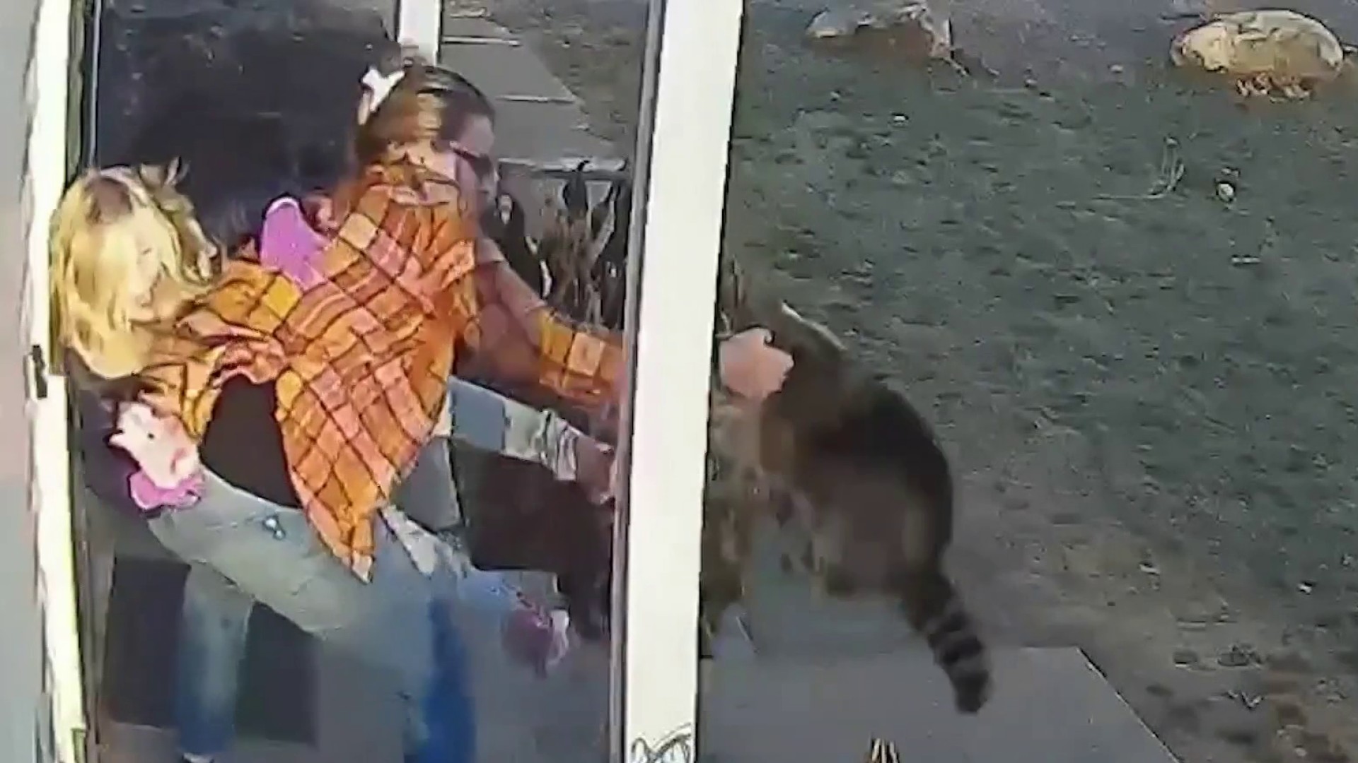 Wild animal attacks on two young girls caught on camera