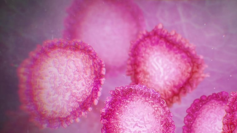 What is the coronavirus? Here's what we know about it.